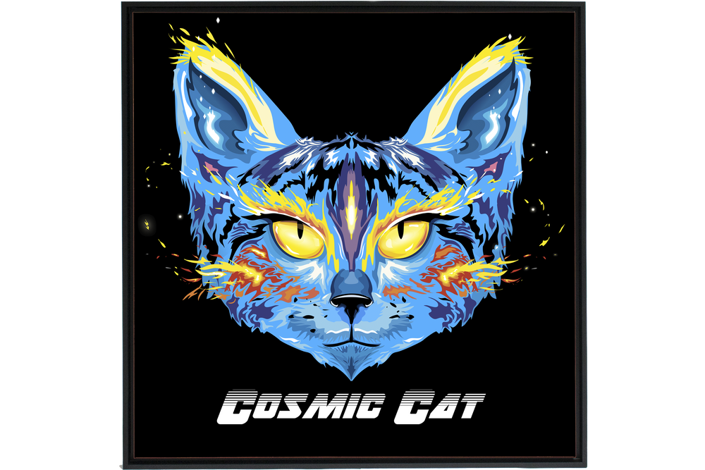 Cosmic Cat Framed Canvas